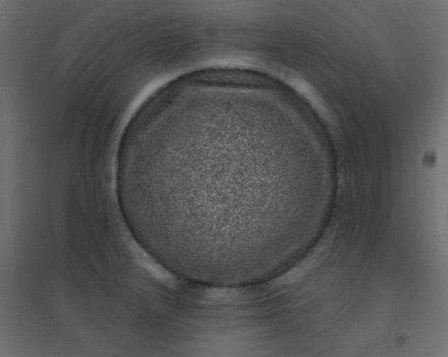 X0000094941232200712131552