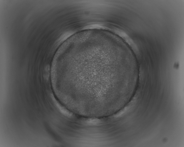 X0000094941233200712131553