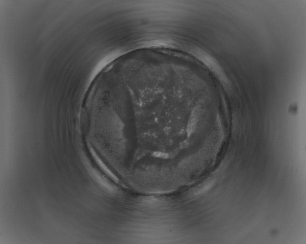 X0000094941234200712131553