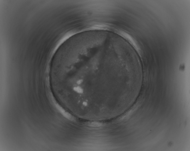 X0000094941235200712131553