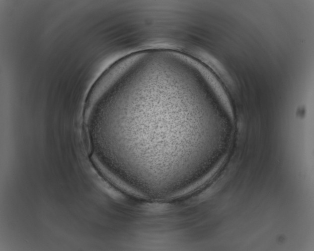 X0000094941236200712131553