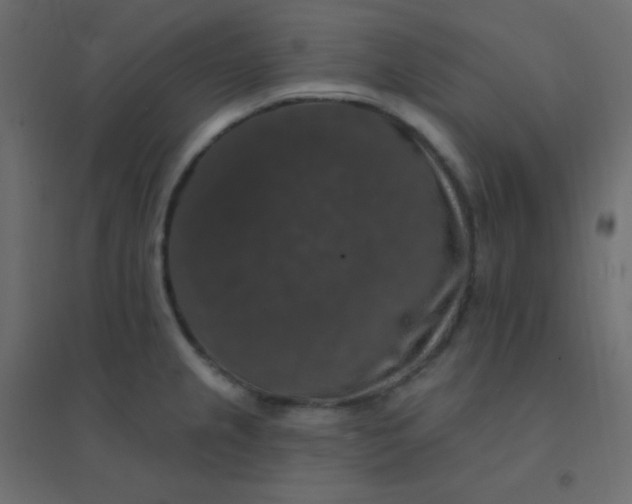 X0000094941237200712131553