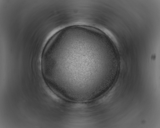 X0000094941238200712131553