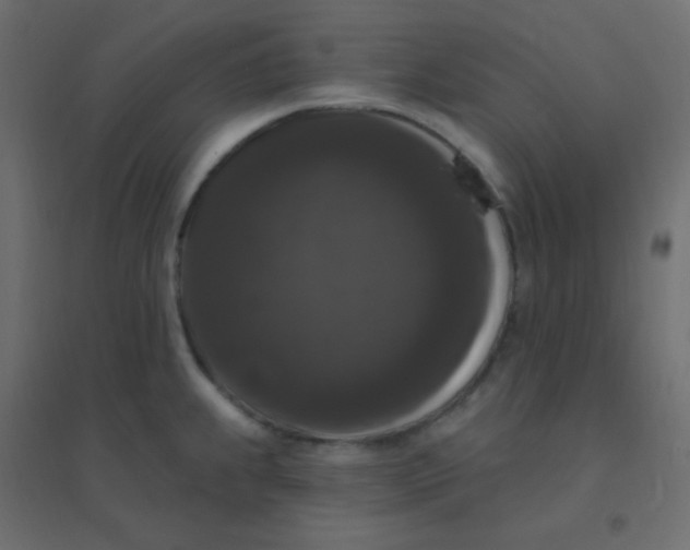 X0000094941239200712131553