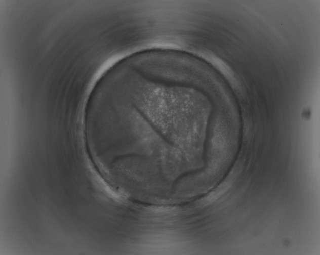 X0000094941240200712131553