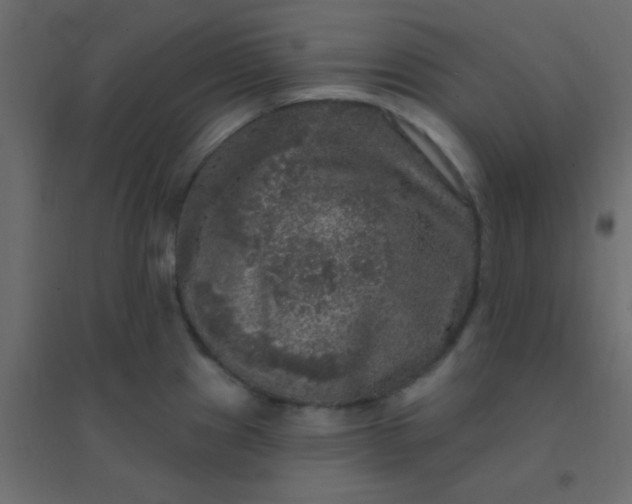 X0000094941241200712131553