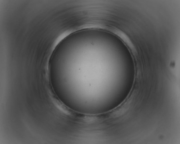 X0000094941242200712131553