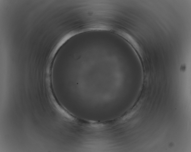 X0000094941243200712131553