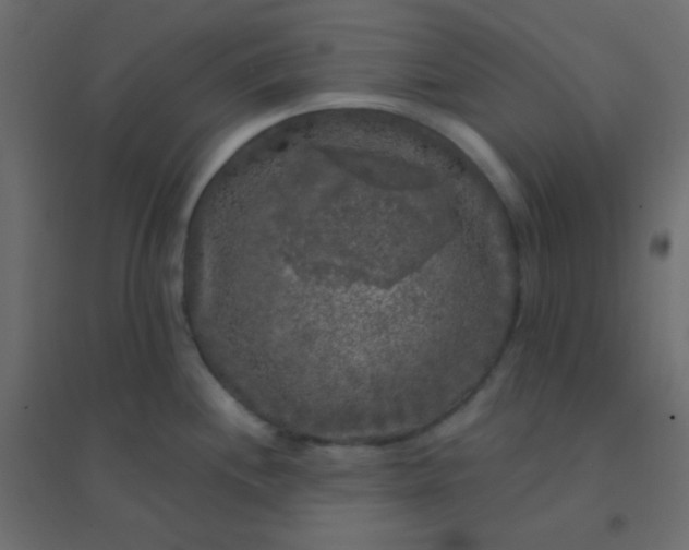 X0000094941244200712131553