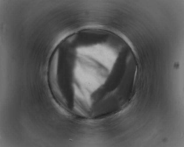 X0000094941245200712131553