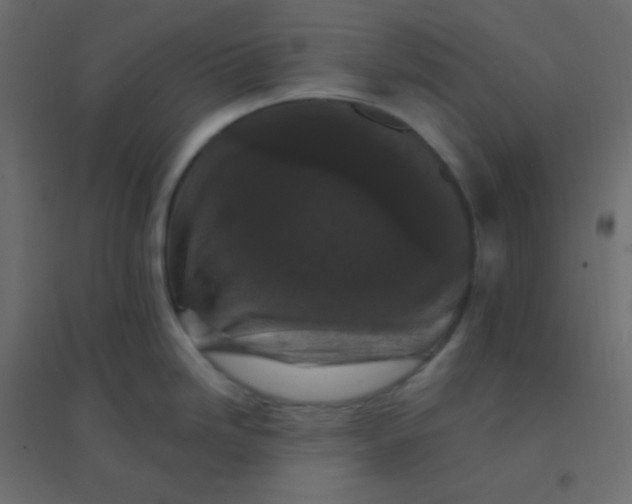 X0000094941246200712131553