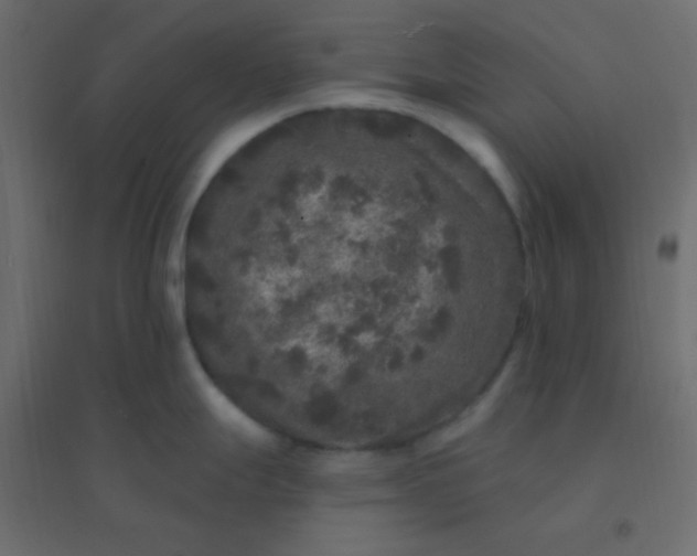 X0000094941247200712131553