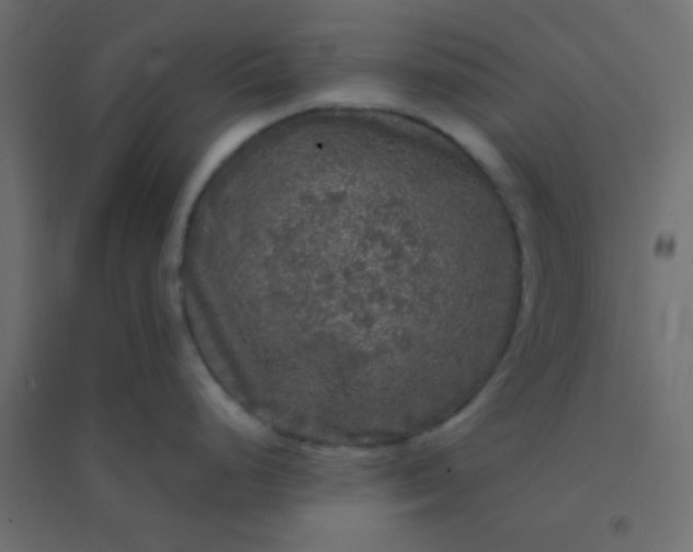 X0000094941248200712131553