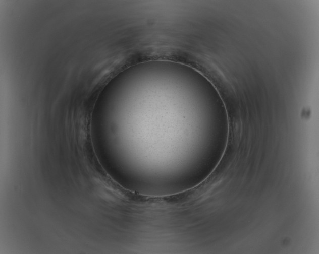 X0000094941250200712131552