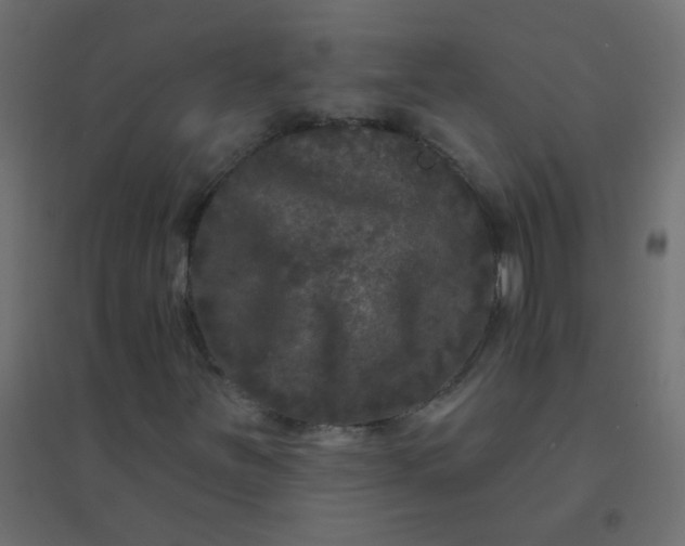 X0000094941251200712131552