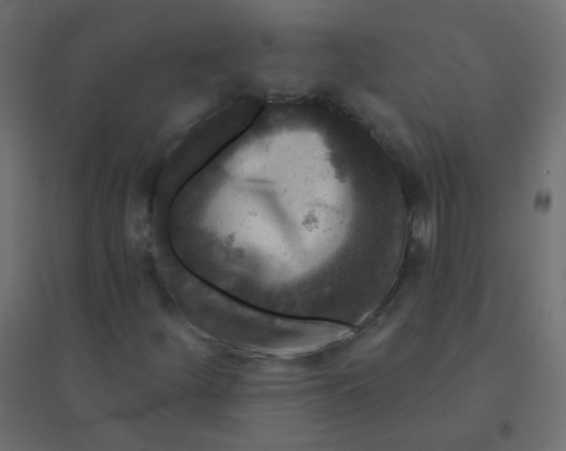 X0000094941252200712131552