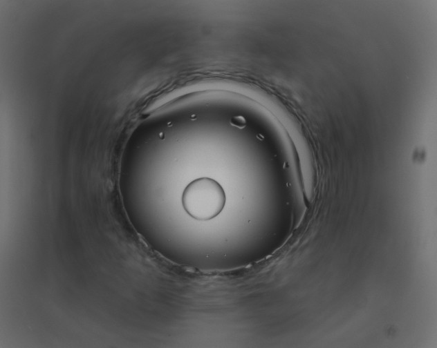 X0000094941253200712131552