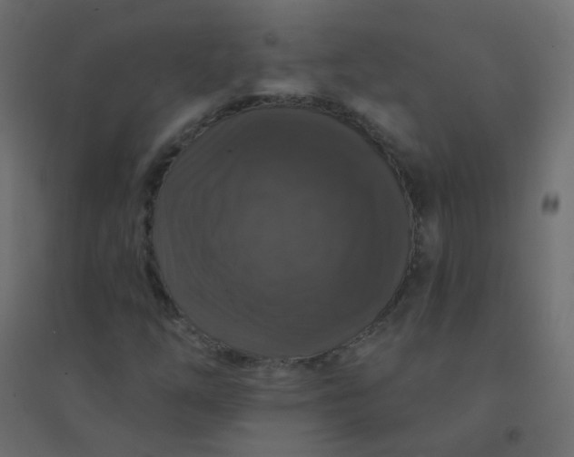 X0000094941254200712131552