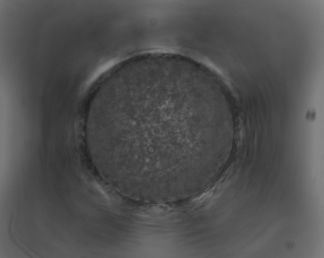 X0000094941255200712131552