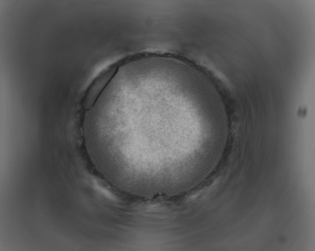 X0000094941256200712131552