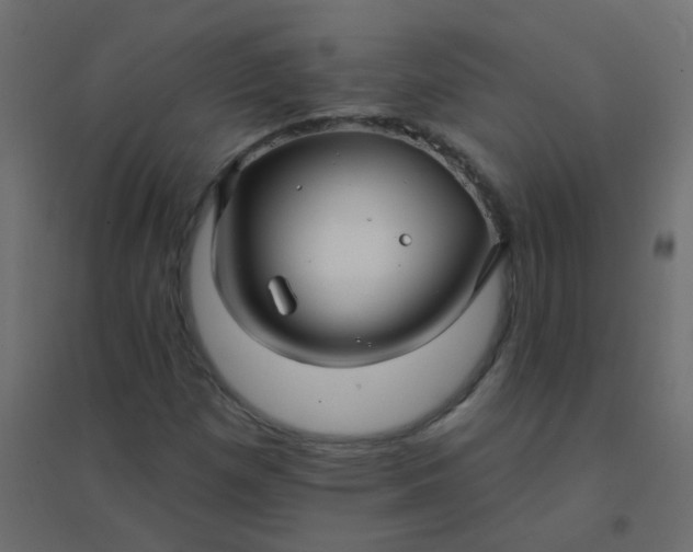 X0000094941257200712131552