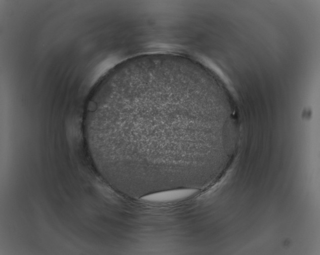 X0000094941259200712131552