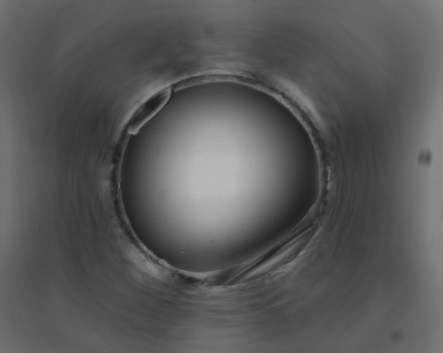 X0000094941260200712131552