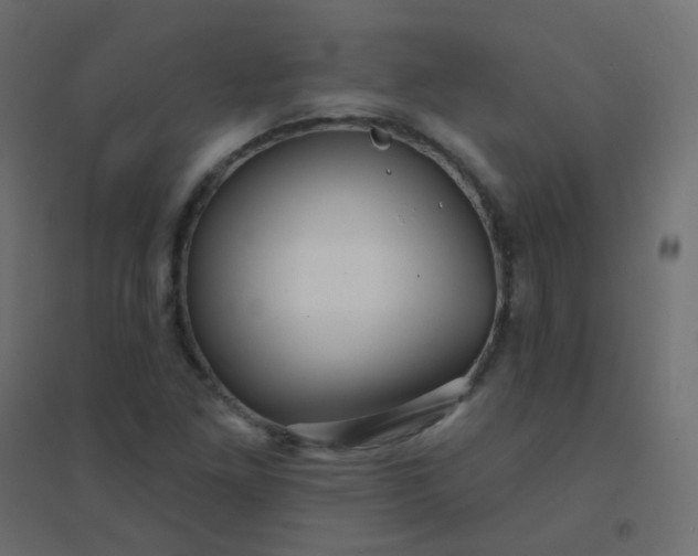 X0000094941261200712131552