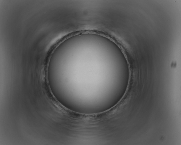 X0000094941262200712131552