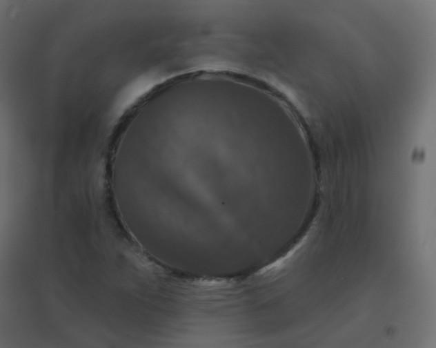 X0000094941263200712131552