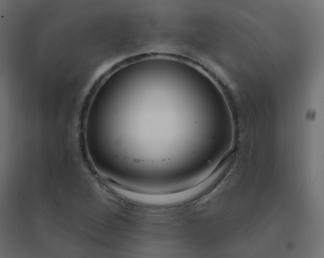 X0000094941264200712131552