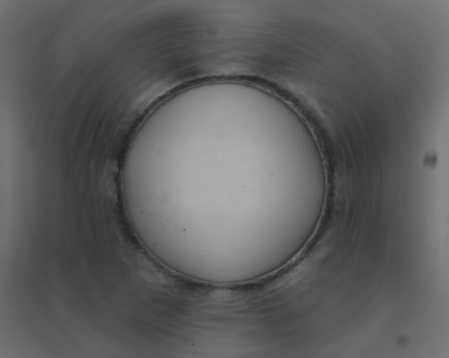 X0000094941265200712131552