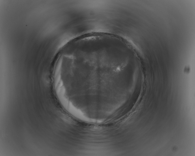 X0000094941266200712131552