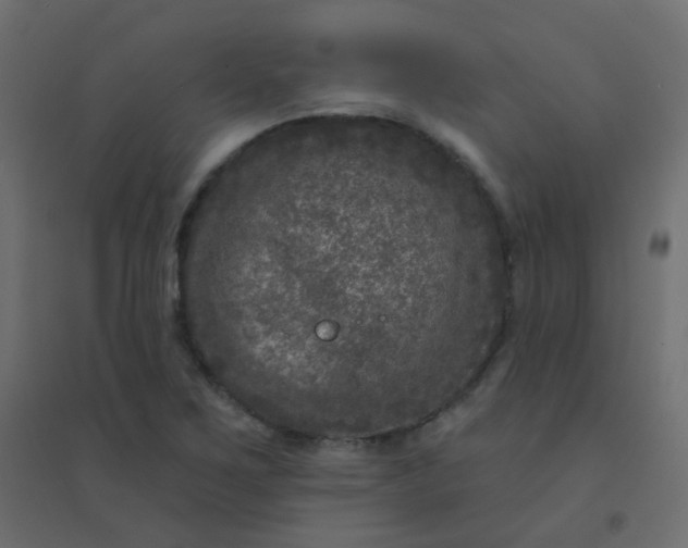 X0000094941267200712131552