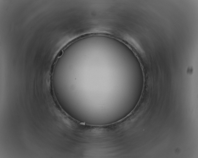 X0000094941268200712131552