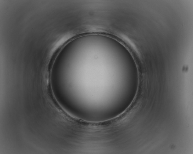 X0000094941269200712131552