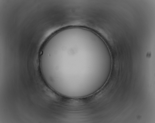 X0000094941270200712131552