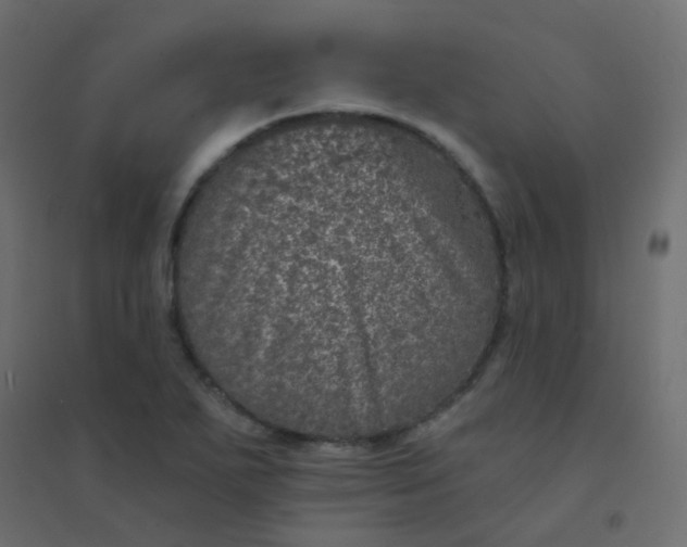 X0000094941271200712131552