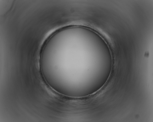 X0000094941272200712131552