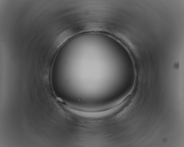 X0000094941273200712131552