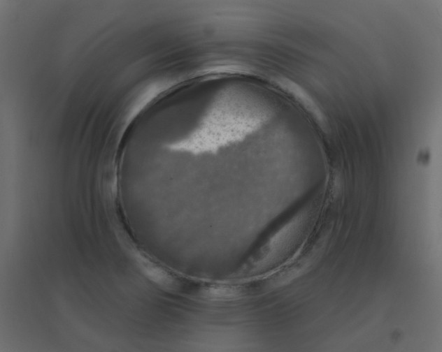 X0000094941274200712131552