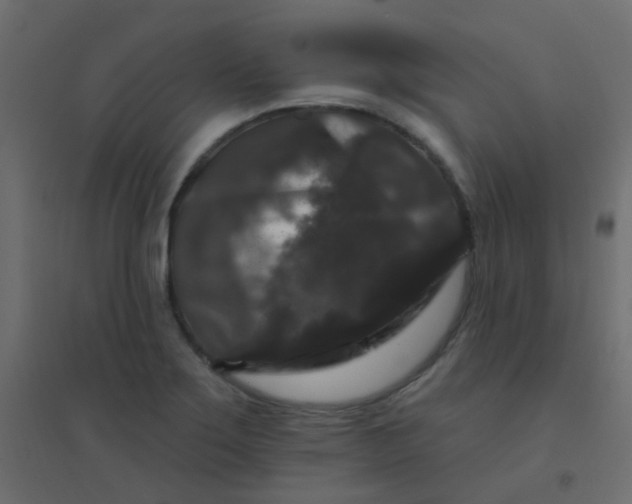 X0000094941275200712131552