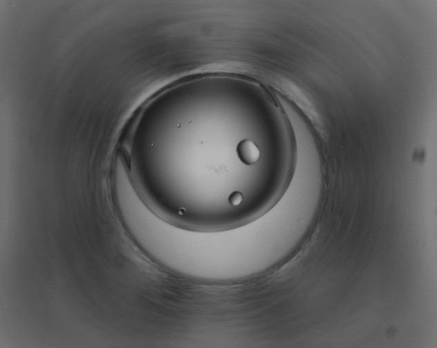 X0000094941276200712131552