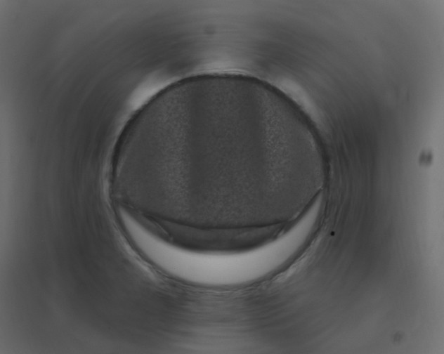 X0000094941277200712131552