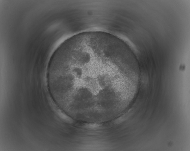 X0000094941278200712131552