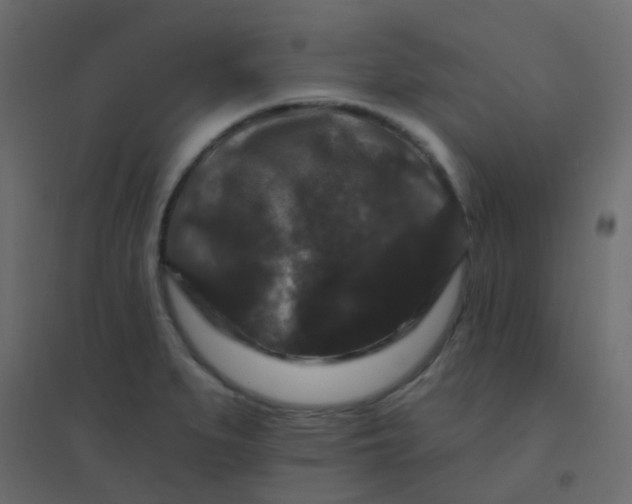 X0000094941279200712131552