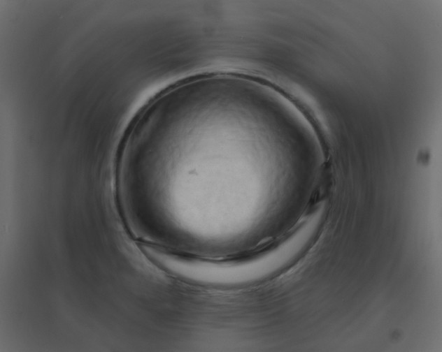 X0000094941280200712131552