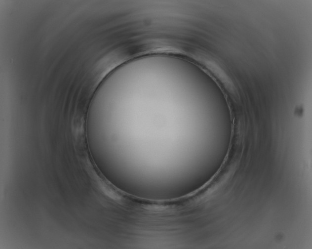 X0000094941281200712131552