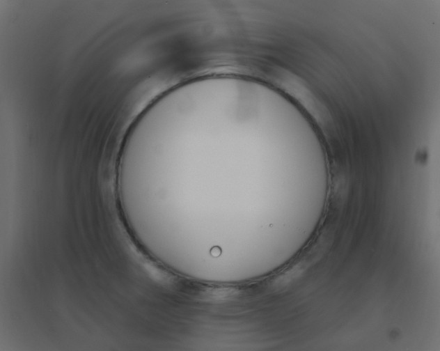 X0000094941282200712131552