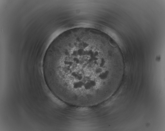 X0000094941283200712131552